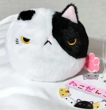 고양이 당고 보스