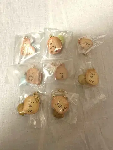 스미코구라시 비스킷 부착 참 펭귄? 돈카츠 토카게 타피오카 등