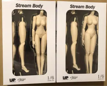 Stream Body 1/6 가동식 인형 2체 세트