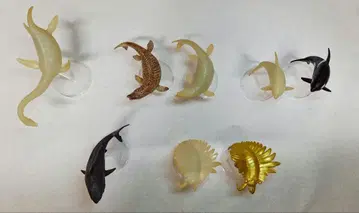 수중 최강왕 도감 시크릿 포함 총정리