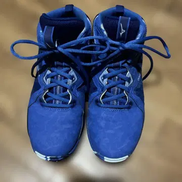 미즈노 MIZUNO WAVE DIVERSE LG4 사이즈 24.0
