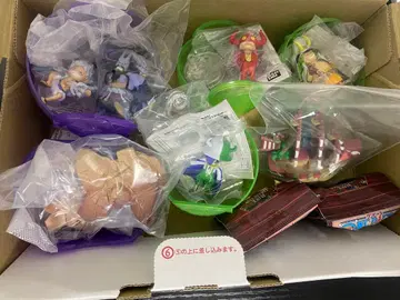 ONEPIECE 원피스 열매 4세트 + 덤 3개