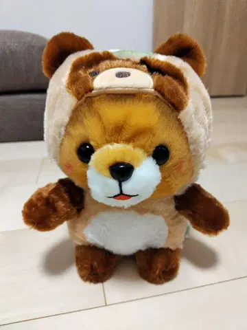 콩시바 삼형제 포테구루미 너구리 봉제 인형