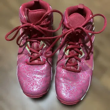 MIZUNO WAVE DIVERSE LG4 미즈노 웨이브 다이버스