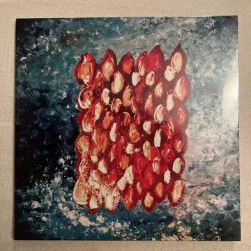 단종 Hammer Head Shark BYE MY NAKED CD 새상품