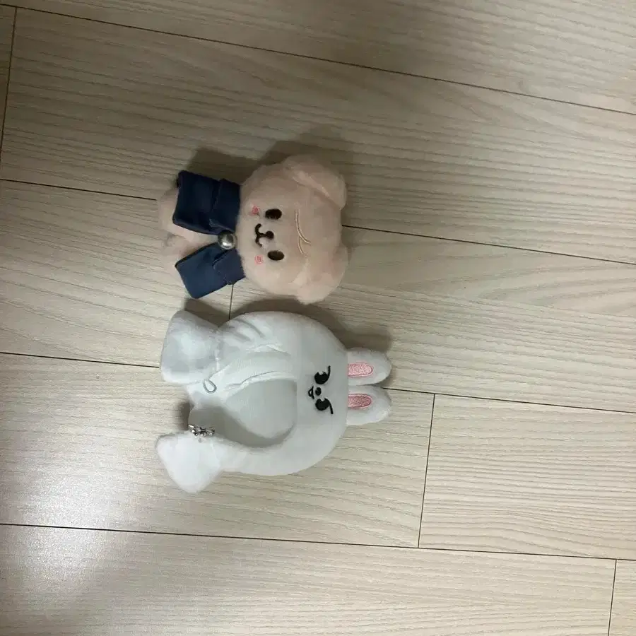 Magic School Ski Zuu Perfim + Clothes