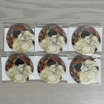 토도 아오이 원작 캔뱃지 6개 세트