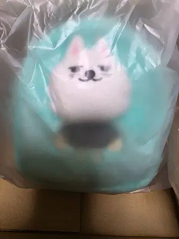 TXT 뿔바투 PPULBATU 용몽 멀티 파우치