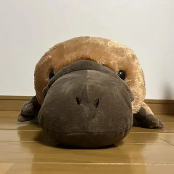 가장자리지만 가장자리가 아니면 BIG 봉제 인형