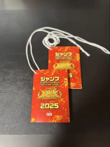 점프 빅토리 카니발 2025 여권 2세트