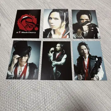 Acid Black Cherry 엽서 6장 세트