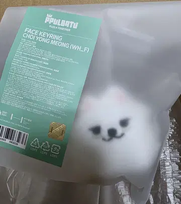 FACE KEYRING CHOI YONG MEONG