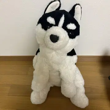 축 늘어지는 시베리안 허스키 봉제 인형
