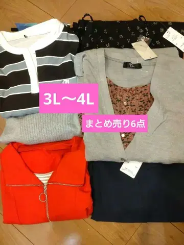 빅 사이즈 3L~4L 6세트