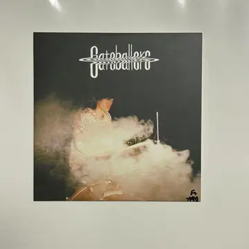 Gateballers / Thank you Part-time Punks