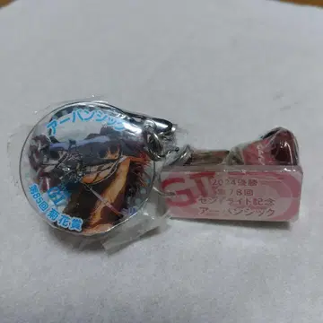 어반 시크 아이돌 호스 미니 컬렉션