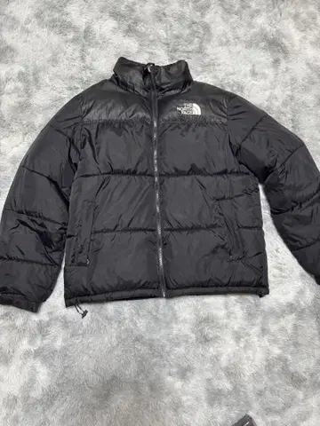 THE NORTH FACE 눕시 700 다운 XL