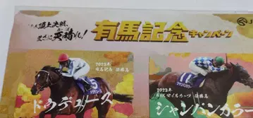 아리마 기념 캠페인 두두스와 샴페인 컬러