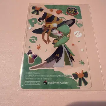 포켓몬 센터 포켓마제 포켓몬 카페 클리어 카드 서나이트