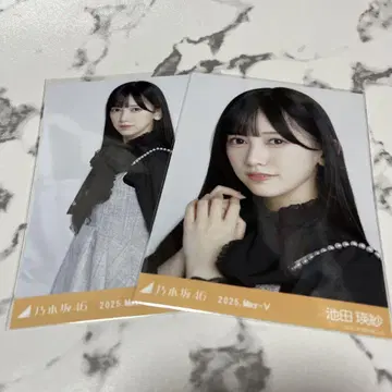 노기자카 이케다 에레나 빅 보타이 블라우스 세미 컴프