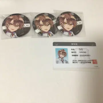 컬러풀 피치 우리 씨 묶음 판매
