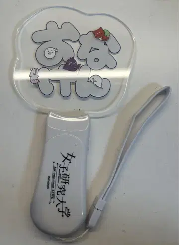 여성 연구 여성 연구 대학 응원봉