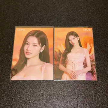 TWICE DIVE 사나 랜더