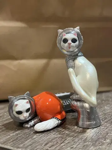 야나베 켄지 SHIP'S CAT 2개 세트