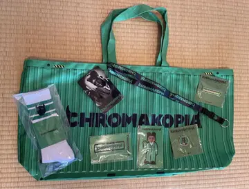 CHROMAKOPIA 그린 토트백
