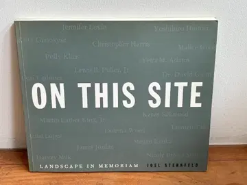 On This Site Joel Sternfeld