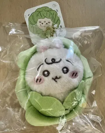 치이카와 Chiikawa Baby 양배추에 싸인 토끼 마스코트