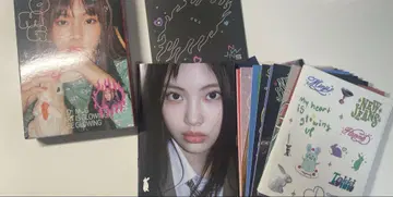 newjeans 혜인 앨범