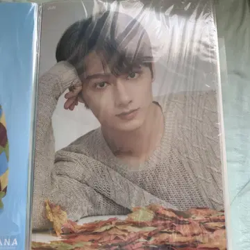 seventeen 준 A3 클리어 포스터 ode to you