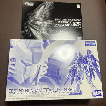 RG 디스티니 건담 티타늄 피니쉬 빛의 날개