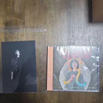 pedro 아유니 자그마한 새벽 dvd 엽서