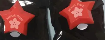홀로스타즈 링 라이트 하나사키 미야비