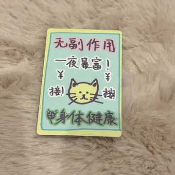 럭키 카드 안신 보이플라