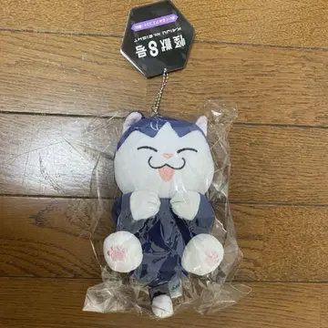 호시나 소우시로 봉제 인형 마스코트 호시나 고양이