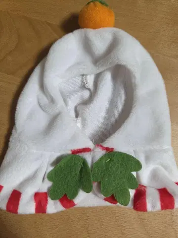 츠이탄 카가미모치 판초