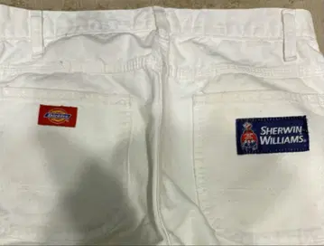 DICKIES/SHERWIN WILLIAMS 페인트 페인터 팬츠 W30