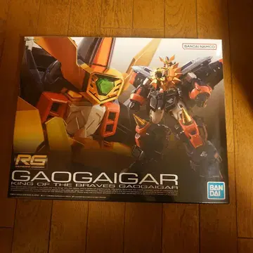 RG 가오가이거