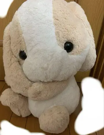 토끼 봉제 인형