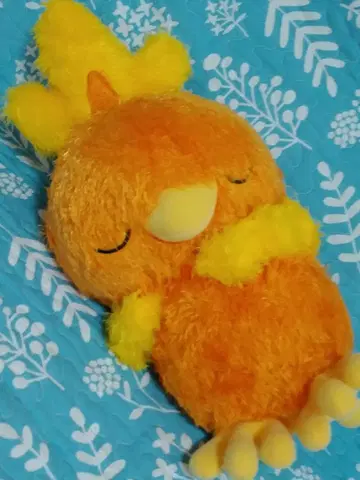 [새상품/배송비 포함] 포켓몬 아차모 봉제 인형
