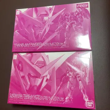 RG 건담 엑시아 OO 글로스 인젝션 Ver.