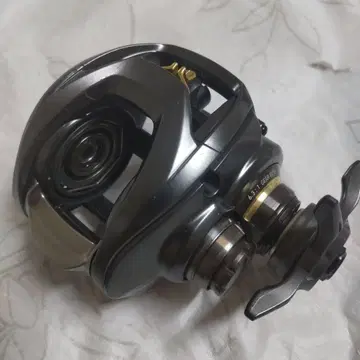스티즈 SV TW 바디만