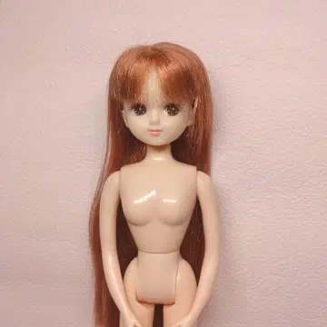 리카짱 캐슬 라이트 브라운 헤어 (본체만)