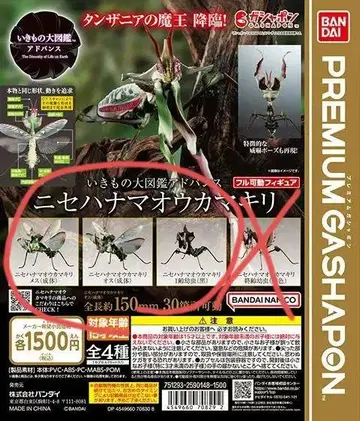 생물대도감 어드밴스 니세하마오 사마귀 x 3종류