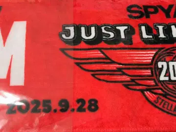 SPYAIR JUST LIKE THIS 타월