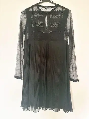 ZARA 블랙 시어 도트 비즈 자수 긴팔 원피스