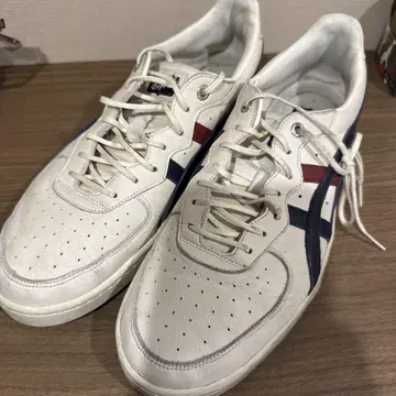 오니츠카타이거
